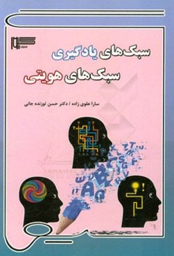 سبک‌های یادگیری، سبک‌های هویتی