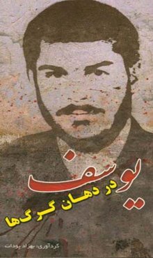 یوسف در دهان گرگ‌ها: سردار شهید یوسف دقت