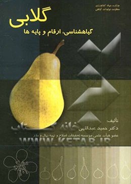 گلابی: گیاه‌شناسی، ارقام و پایه‌ها