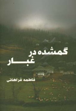 گمشده در غبار