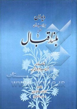 دیوان میرزا سیدرضی بلند اقبال شاعر نامدار قرن سیزدهم هجری شمسی