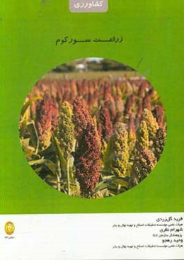 زراعت سورگوم