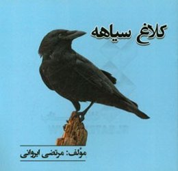 کلاغ سیاهه