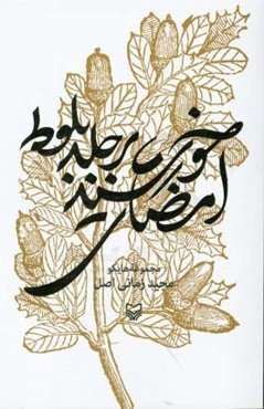 امضای خورشید بر جلد بلوط