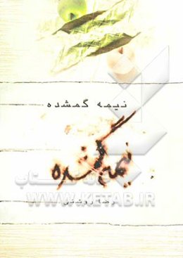 نیمه‌ی گمشده