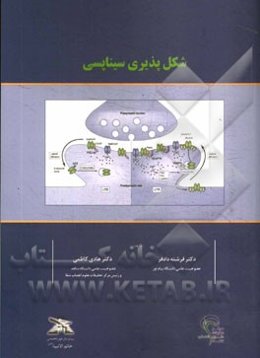 شکل‌پذیری سیناپسی