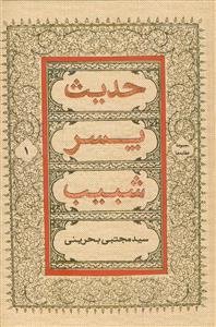 حدیث پسر شبیب